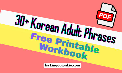 Korean Adult Phrases Workbook