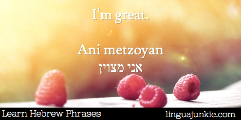linguajunkie.com hebrew phrases