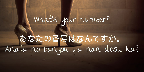 Asking "What's your number?" in Japanese?