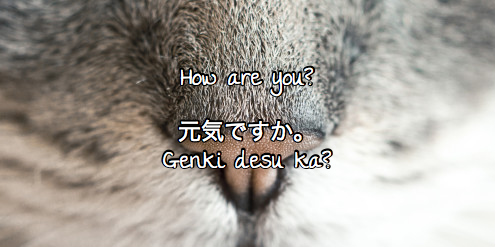 O que significa すばらしい (subarashii)( please do answer in english 😢)? -  Pergunta sobre a Japonês
