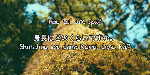 How tall are you? How tall are you?