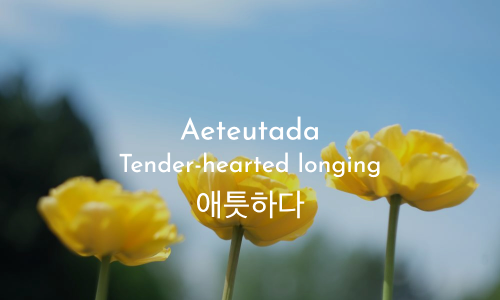 Aeteutada 애틋하다