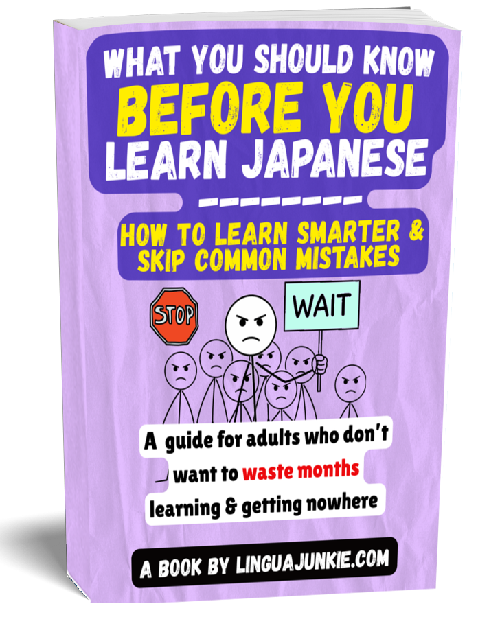 Before You Learn Japanese Book Cover