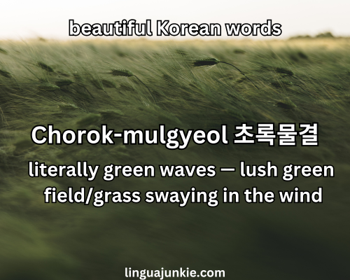 Chorok-mulgyeol 초록물결