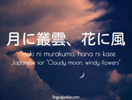 cloudy moon windy flowers