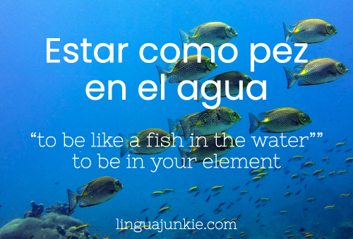 Estar como pez en el agua
