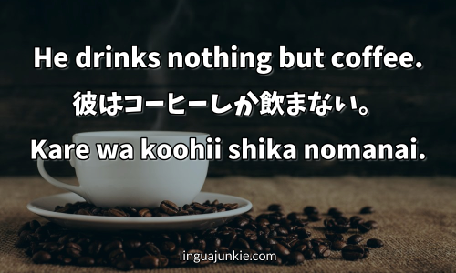 say only in japanese - shika nai