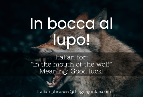 In bocca al lupo beautiful italian words