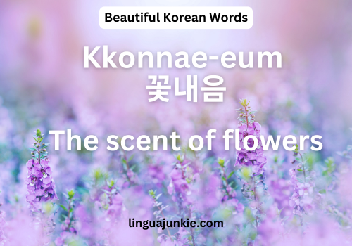 Kkonnae-eum  꽃내음