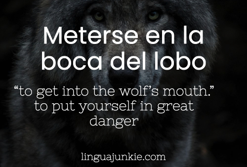 Meterse en la boca del lobo