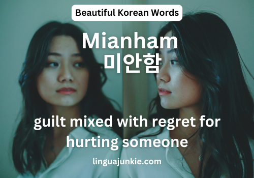 Mianham 미안함 guilt and regret