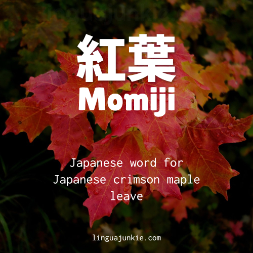 Momiji japanese autumn words
