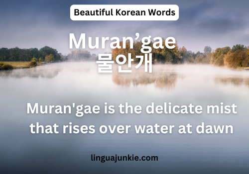 Muran’gae 물안개