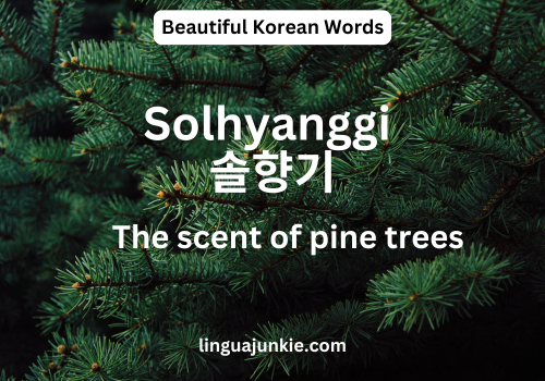 Solhyanggi 솔향기