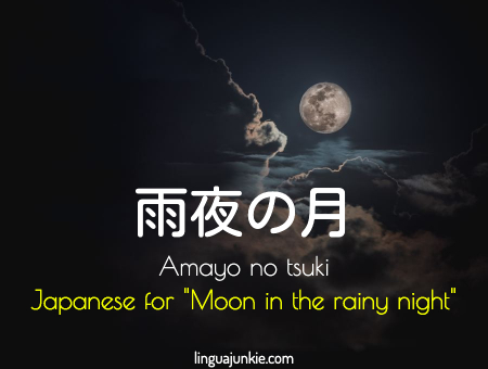 moon in the rainy night