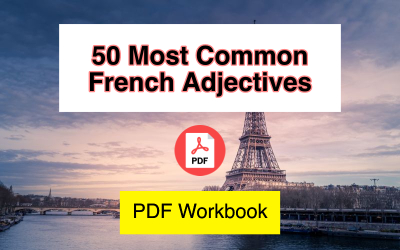 french adjectives worksheet