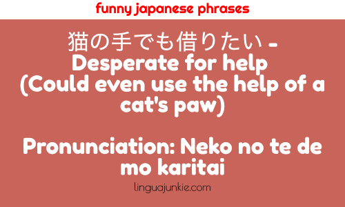 猫の手でも借りたい - Desperate for help (Could even use the help of a cat's paw)