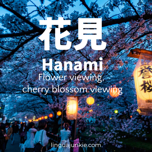 hanami cherry blossom viewing