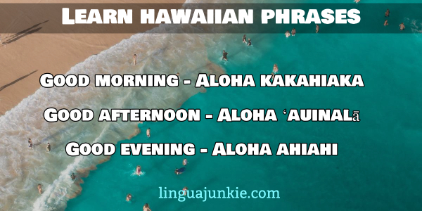 Beginners Hawaiian