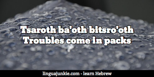 learn hebrew proverbs at linguajunkie.com
