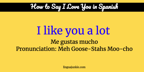 i love you in spanish