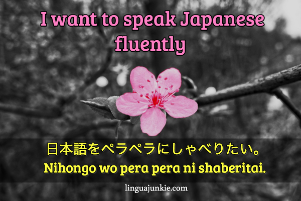 i want to learn japanese (1)