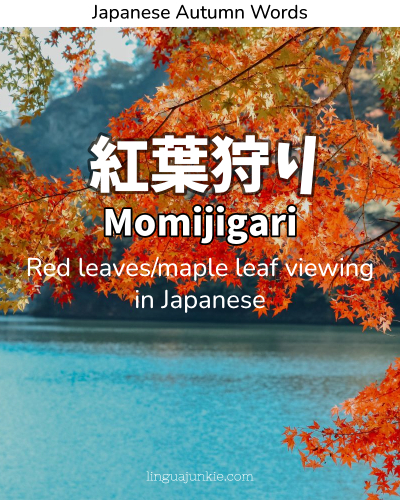 Momijigari japanese autumn words