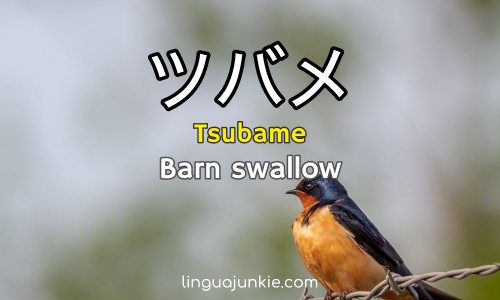 japanese spring words