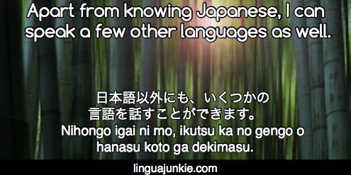 Japanese Phrases Linguajunkie.com
