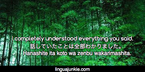 Japanese Phrases Linguajunkie.com