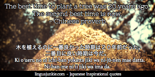 Japanese Inspirational Quotes by Linguajunkie.com