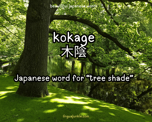 Kokage