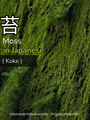 moss in japanese koke