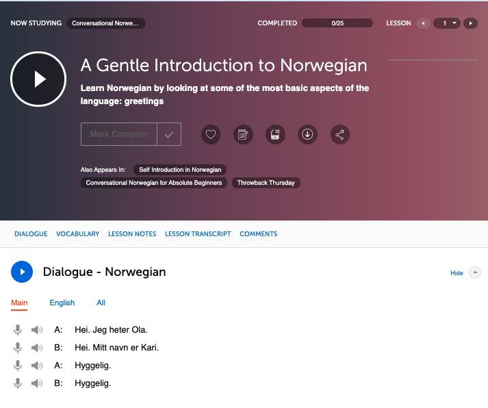 norwegianclass101 review