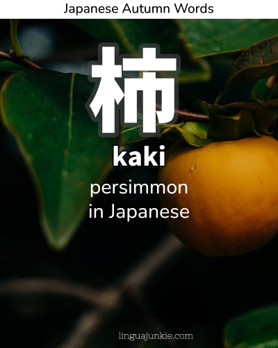 persimmon in japanese