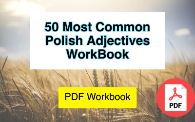 polish adjectives worksheet