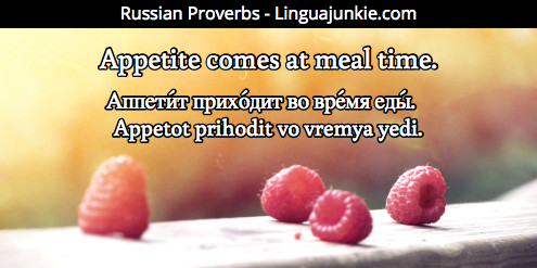 Russian Proverbs Linguajunkie.com