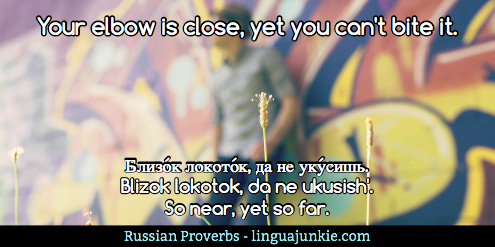 Russian Proverbs with Linguajunkie.com