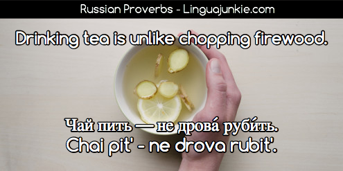 learn russian proverbs with Linguajunkie.com