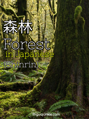 shinrin forest in japanese
