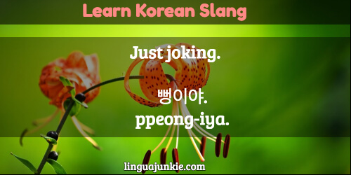 Learn the Top 20 Korean Slang Words & Phrases. Part 1