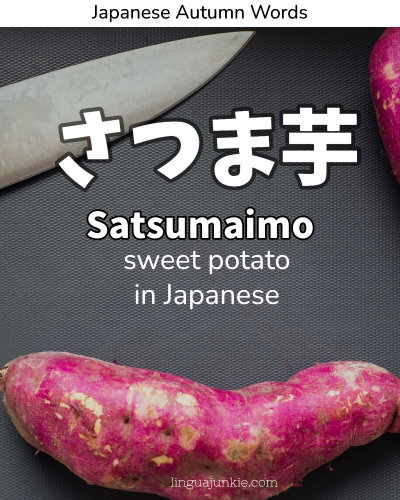 sweet potato in japanese