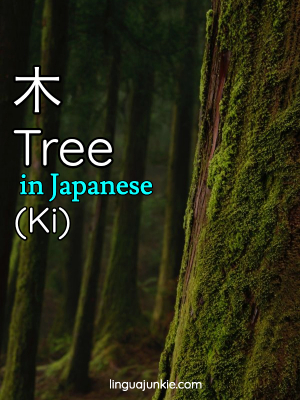 tree in japanese