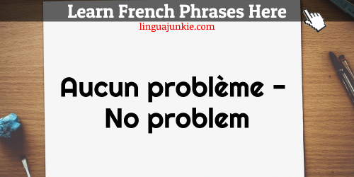 you're welcome in French