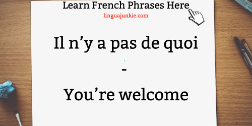 you're welcome in French