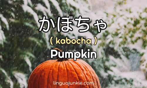 かぼちゃ Kabocha Pumpkin