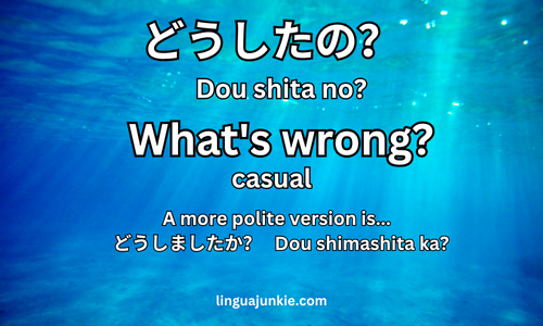 Dou shita no?  What's wrong?  (casual)
