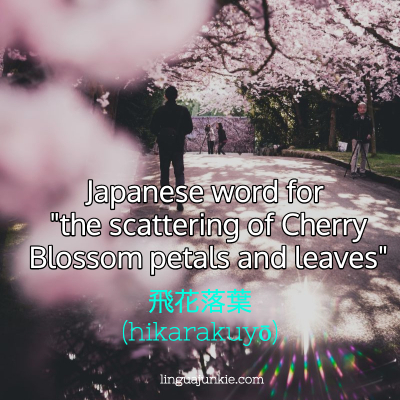飛花落葉 (hikarakuyō)