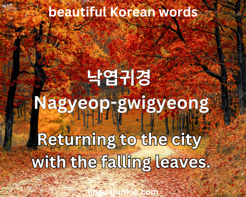 Nagyeop-gwigyeong 낙엽귀경