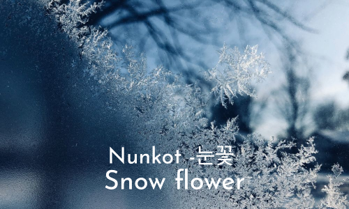 Nunkot 눈꽃